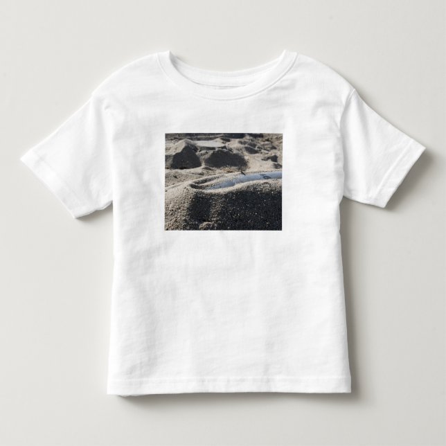 A static display of an ordnance shell toddler t-shirt (Front)