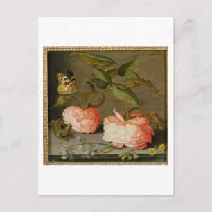 A Still Life with Roses on a Ledge Postcard