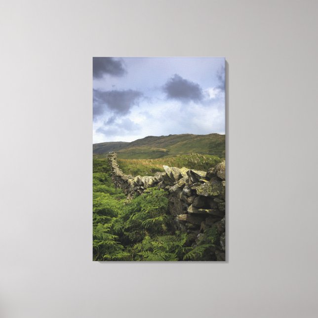 A Stone Fence Through Fields Canvas Print (Front)