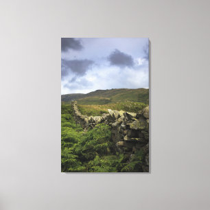 A Stone Fence Through Fields Canvas Print