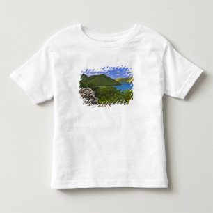 A stop at the Annaberg Sugar Mill, St. John Toddler T-shirt