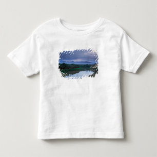 A stormy morning, with threatening clouds toddler t-shirt
