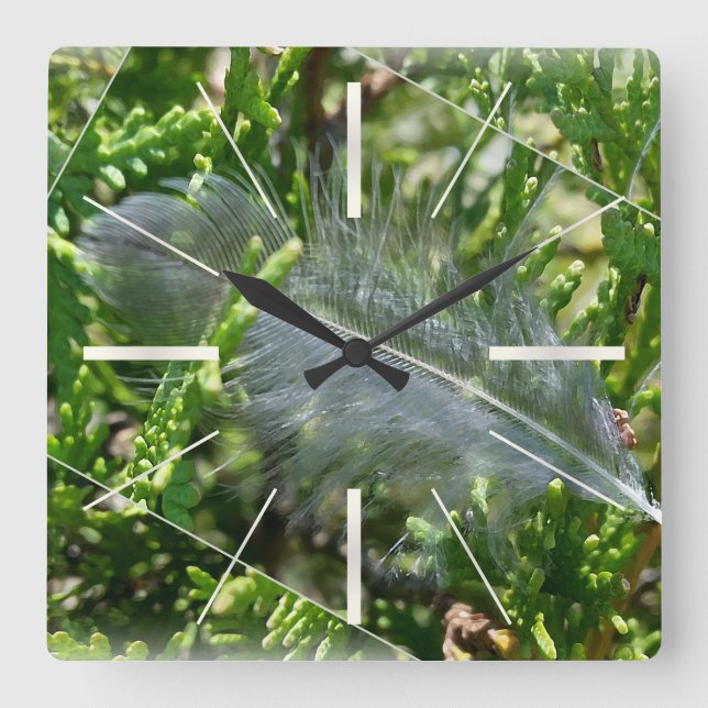 A stray feather square wall clock (Front)