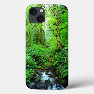 A stream in an old-growth forest iPhone 13 case