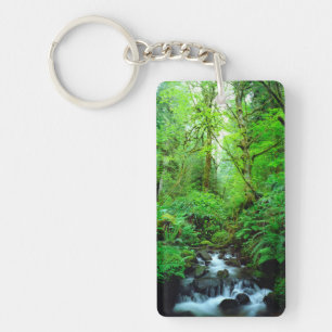 A stream in an old-growth forest keychain