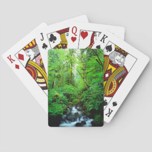 A stream in an old-growth forest playing cards