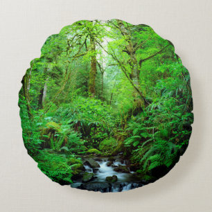 A stream in an old-growth forest round pillow