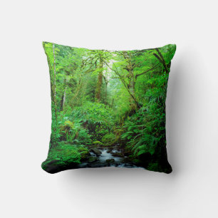 A stream in an old-growth forest throw pillow