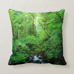 A stream in an old-growth forest throw pillow