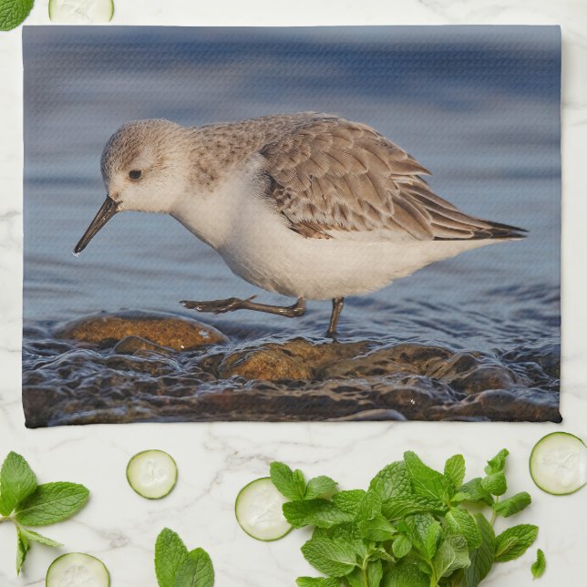 A Strolling Sanderling Kitchen Towel (Folded)