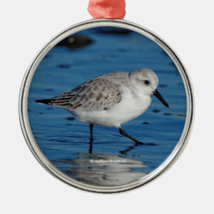 A Strolling Sanderling Metal Ornament