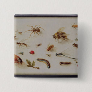 A Study of Insects 2 Inch Square Button
