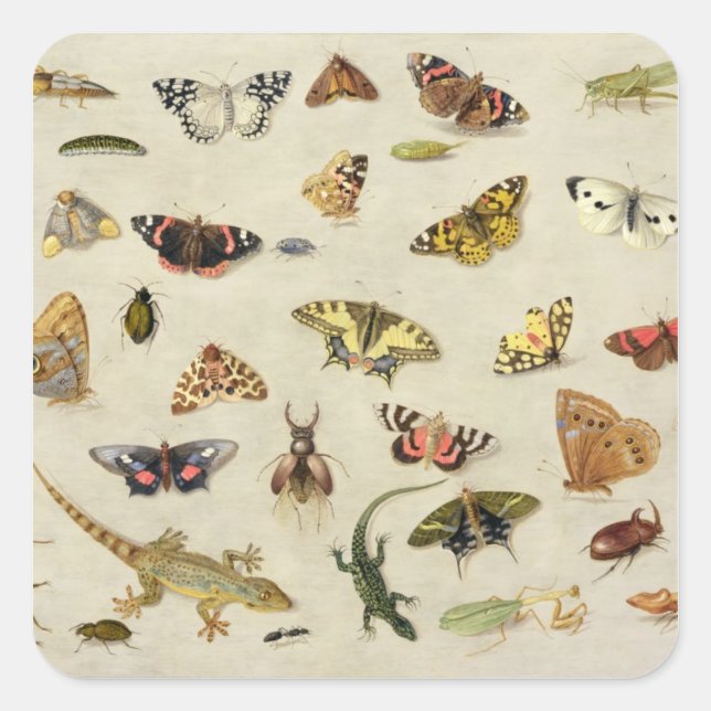 A Study of insects Square Sticker (Front)