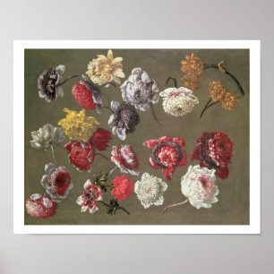 A Study of Peonies (oil on canvas) Poster