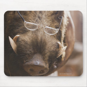 a stuffed wild boar wearing glasses outside a mouse pad