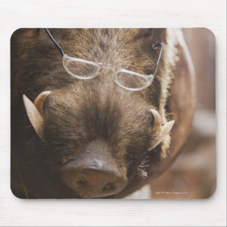 a stuffed wild boar wearing glasses outside a mouse pad