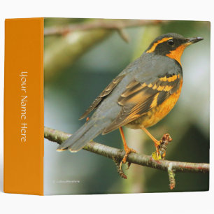 A Stunned But Safe Beautiful Varied Thrush Binder