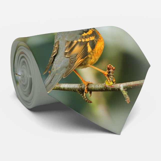 A Stunned But Safe Beautiful Varied Thrush Tie (Rolled)