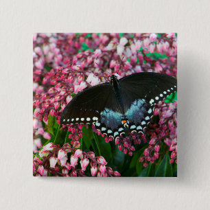 A Sulphur Butterfly In The Phoebis Family 2 Inch Square Button