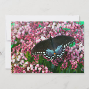 A Sulphur Butterfly In The Phoebis Family Thank You Card