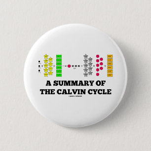 A Summary Of The Calvin Cycle (Photosynthesis) 2 Inch Round Button