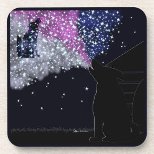 A Summer Night with Sirius Coaster