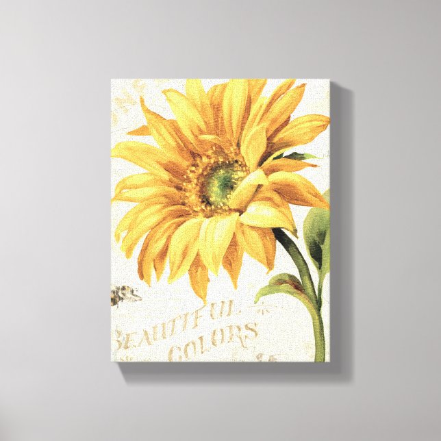 A Sunflower in Full Bloom Canvas Print (Front)
