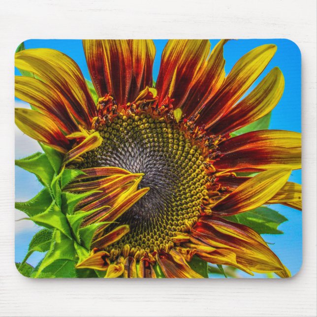 A sunflower Mousepad  (Front)