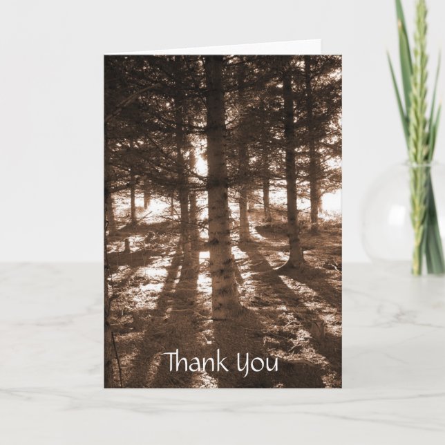A sunset in the forest thank you note card (Front)