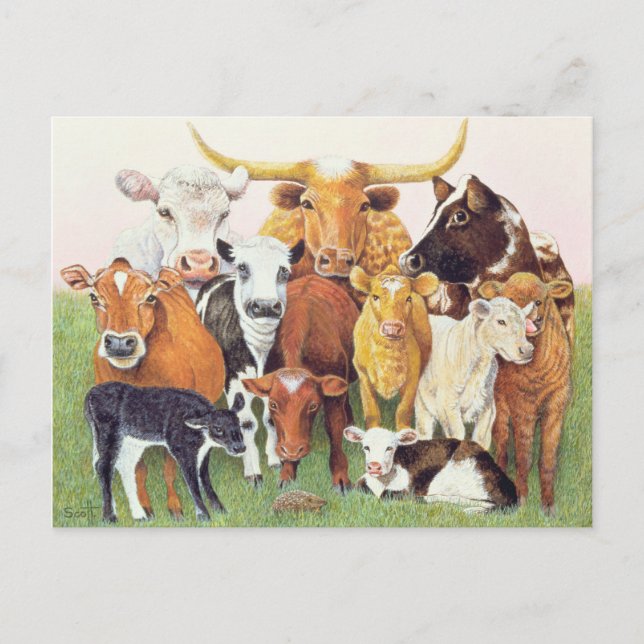 A Surprising Stranger Postcard (Front)