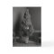 A Surreal Christmas Card