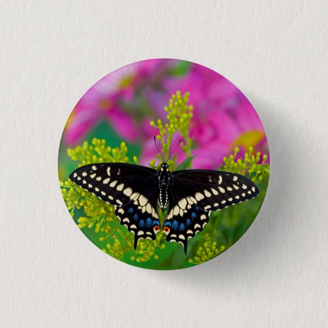A Swallowtail-Butterfly Landing 1 Inch Round Button (Front)