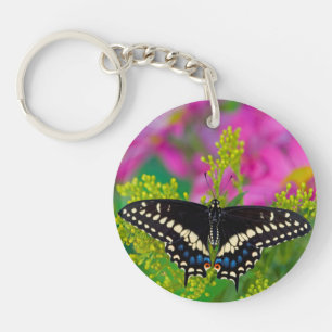 A Swallowtail-Butterfly Landing Keychain