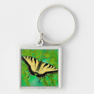 A Swallowtail Butterfly Landing Keychain