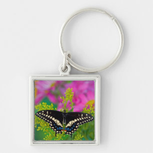 A Swallowtail-Butterfly Landing Keychain