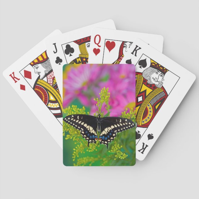 A Swallowtail-Butterfly Landing Playing Cards (Back)