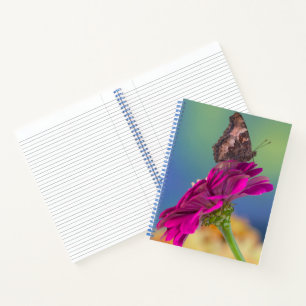 A Swallowtail Butterfly Papilio Multicaudatus Notebook