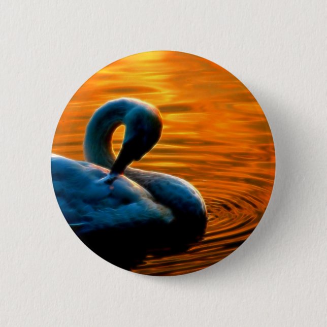 A Swan Taking a Last Minute Swim at Sunset 2 Inch Round Button (Front)