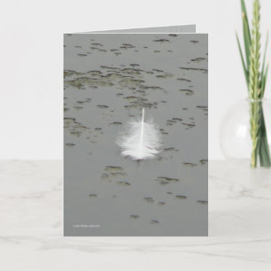A Swan&#x27;s Gift Card