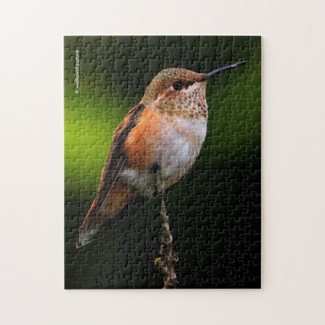 A Sweet Rufous Hummingbird Poses on the Fruit Tree Jigsaw Puzzle (Vertical)