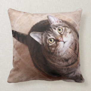 A tabby cat looking up throw pillow