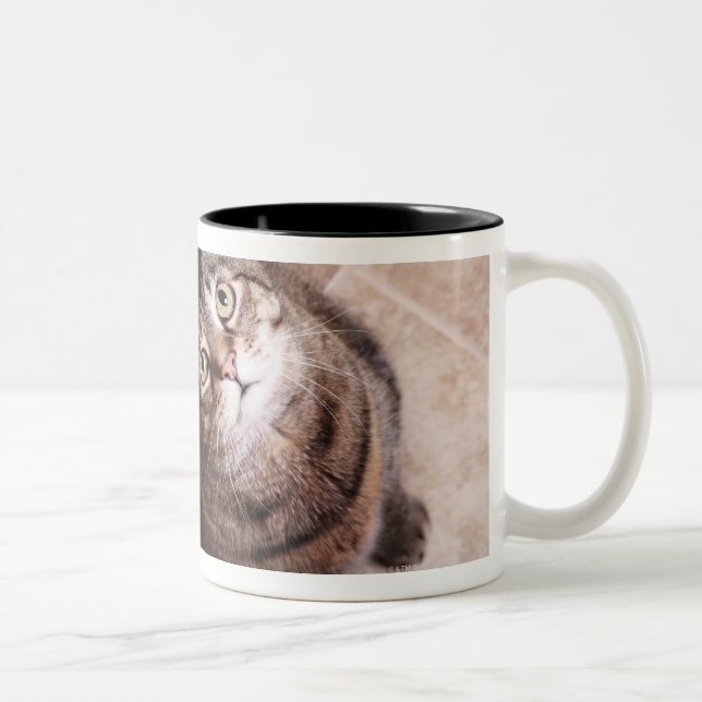 A tabby cat looking up Two-Tone coffee mug (Right)