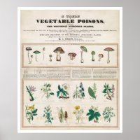 A Table of Vegetable Poisons Vintage
