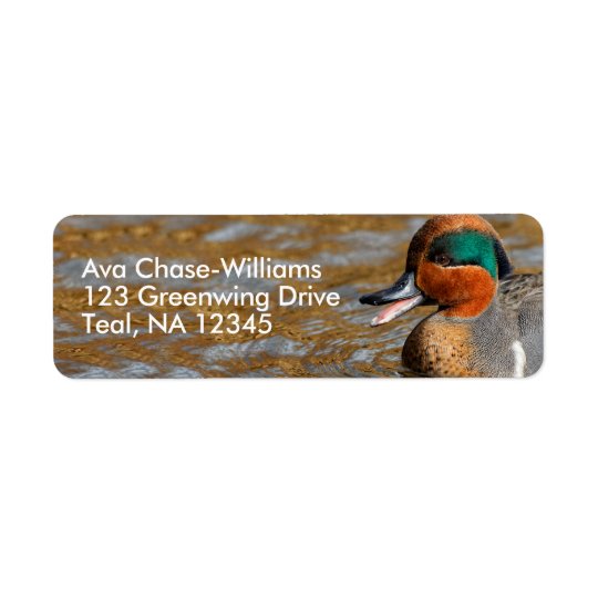 A Talkative Green-Winged Teal Return Address Label