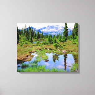 A tarn in the backcountry of Vancouver Island Canvas Print