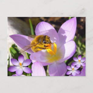 A TASTE OF SPRING!  Custom Text Postcard