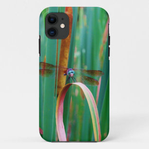 A teal Eyed Dragonfly with cattails iPhone 11 Case
