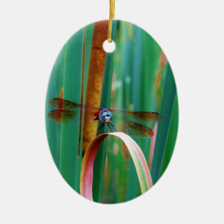 A teal Eyed Dragonfly with cattails Ceramic Ornament
