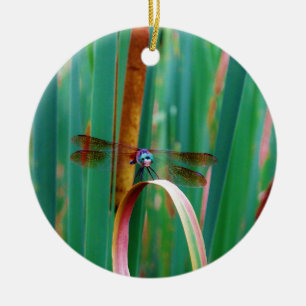A teal Eyed Dragonfly with cattails Ceramic Ornament