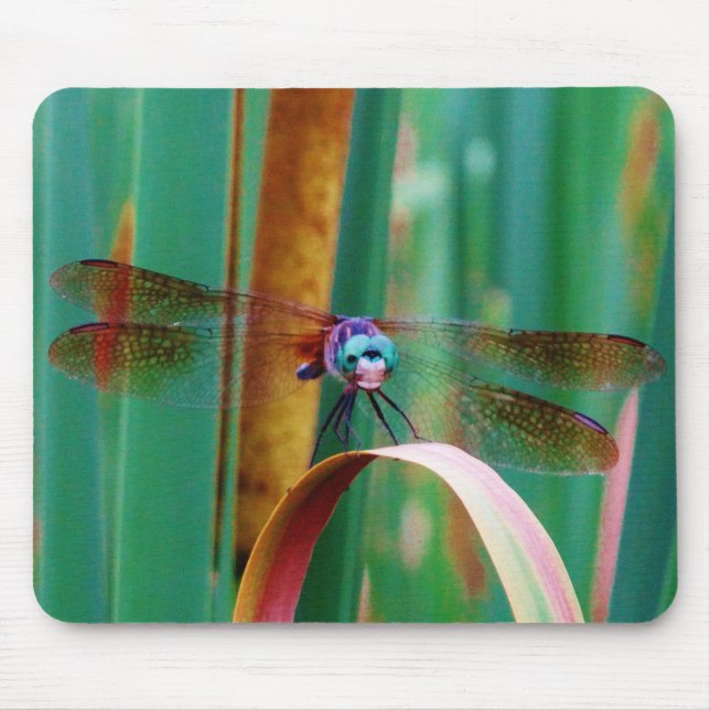 A teal Eyed Dragonfly with cattails Mouse Pad (Front)